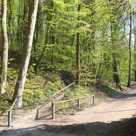 Ferienhaus Wald Und Meer Char Privatunterkunft Koserow